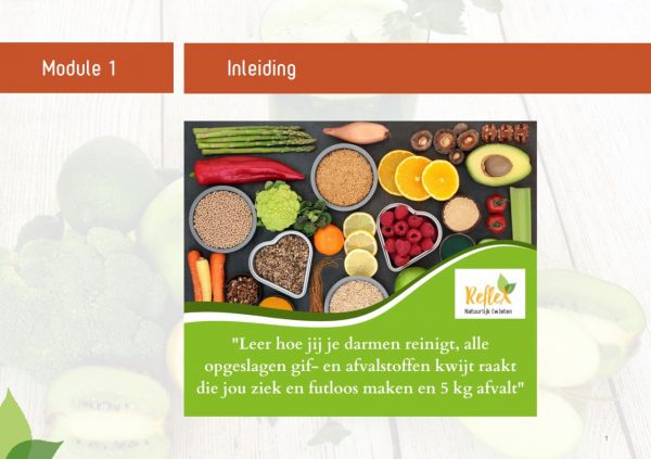 Inleiding Detox